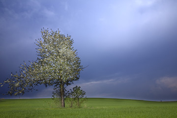 Very clear shape in the afternoon