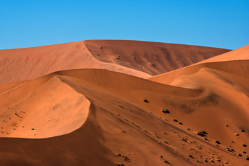 Red Dunes