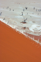 Dead Vlei