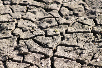 Trockene, aufgeplatzte sandige Erde