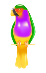 Tropical bird