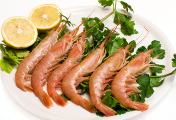 Plate with raw prawns