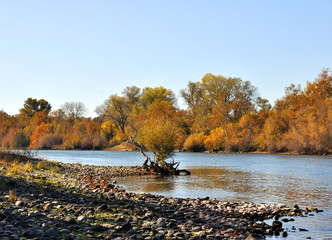 Sacramento River in the Fall