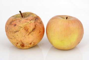 apple