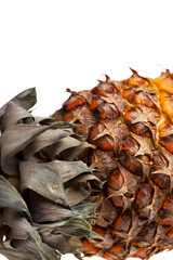 Detail einer reifen Ananas isoliert auf weißem Hintergrund