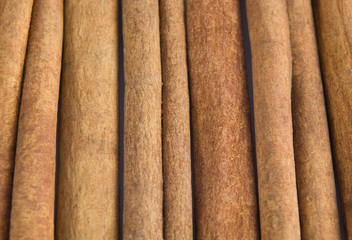 Cinnamon sticks.