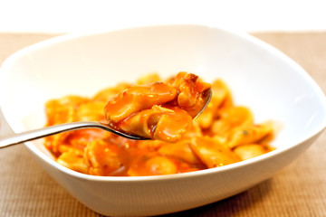 Ravioli