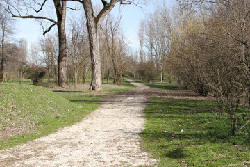 vialetto