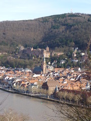 Blick auf Heidelberg