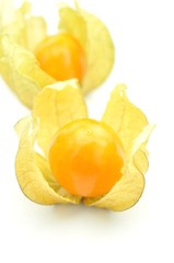 Physalis, exotisch