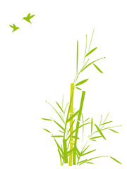 bambou et oiseaux mouches