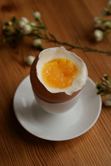 ei frühstück