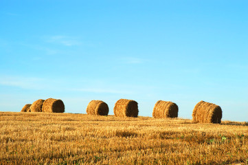 Hay bales