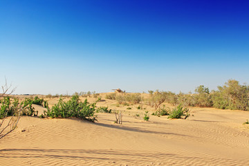 The spring in the desert