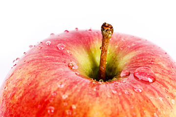Red apple closeup with waterdrops isolated on white.