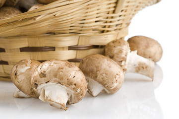 Mushrooms close-up