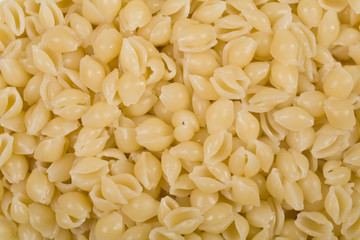 cooked pasta
