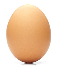 egg on white background.