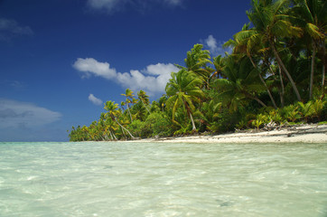 Paradise White sand beach and transparent water in Tahiti