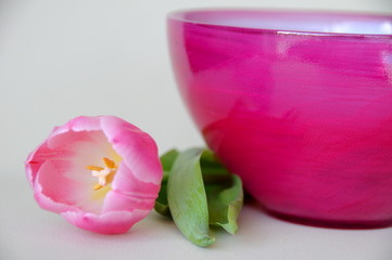Tulpe mit Glasschale rosa
