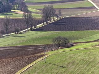 Obraz premium Agrarlandschaft