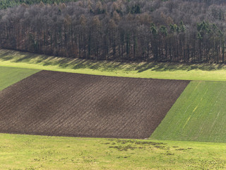 Felder am Waldrand
