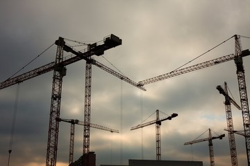 Cranes