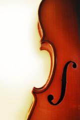 Violin