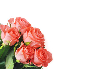 Bunch of roses
