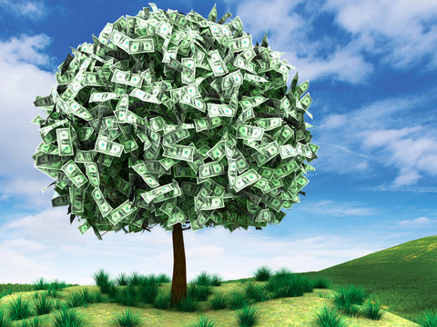 Money Tree with Landscape