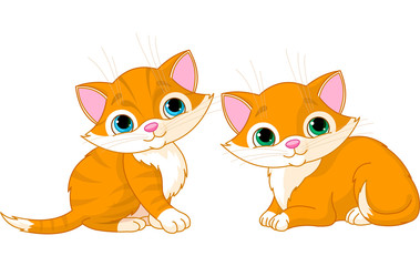 Two very cute cats