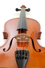 violino su fondo bianco