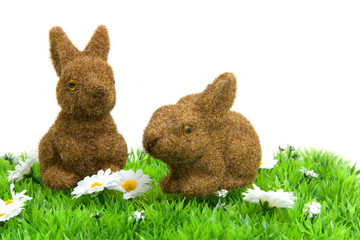 white daisy flowers with bunnies on grass