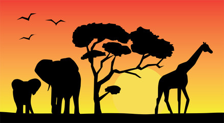 Plakat african landscape