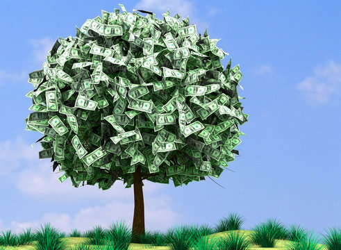 Money Tree