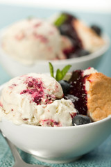 Blueberry Swirl Ice Cream