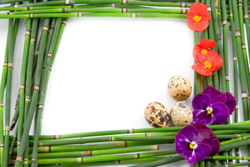 Green Easter frame