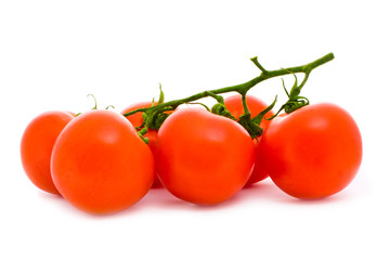 tomatoes