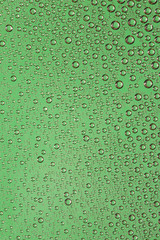 Green water drops