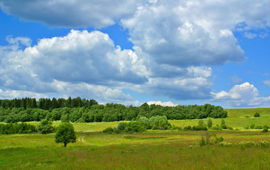 Fototapeta premium Summer landscape