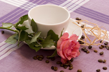 Coffee theme