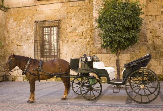 carroza caballo