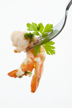 Scampi