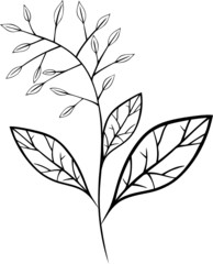 black art, Blumen, Ranke, floral, Laub, Blätter