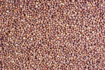 buckwheat groats as background.