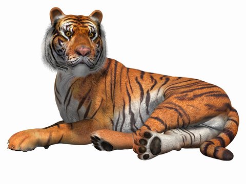 Foto de Tigre 3d Isométrico e mais fotos de stock de Tridimensional -  Tridimensional, Animal, Tigre - iStock