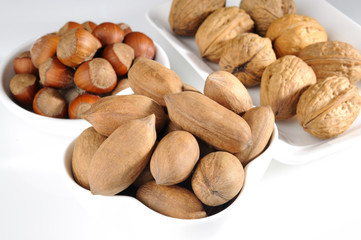 walnut at behind pecan