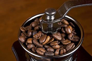 roasted coffee beans in a grinder