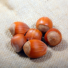 Noisettes