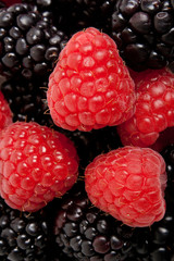 raspberry and blackberry